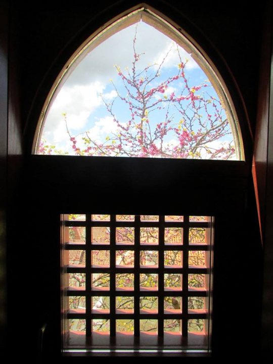 13043740_1133981316647251_7887763466510903330_n