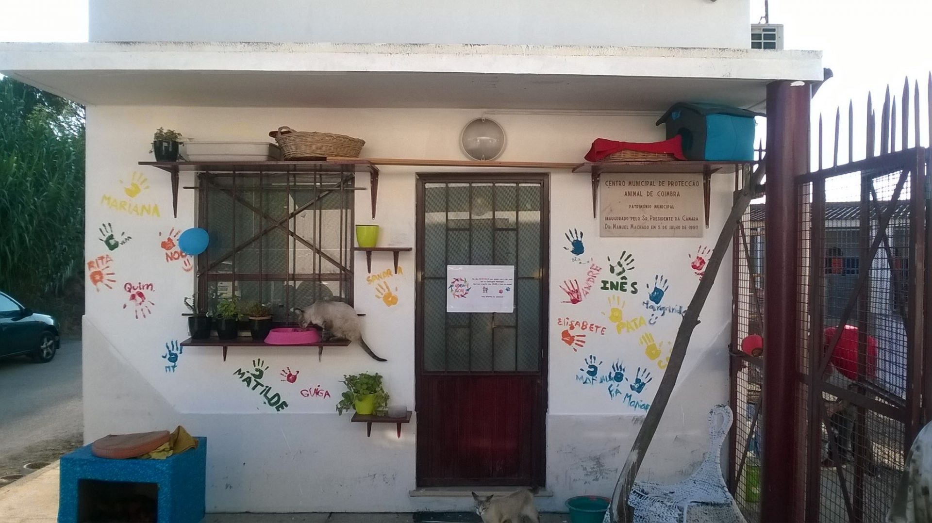 CMC investe 34.000 euros na melhoria das condições do Canil Municipal