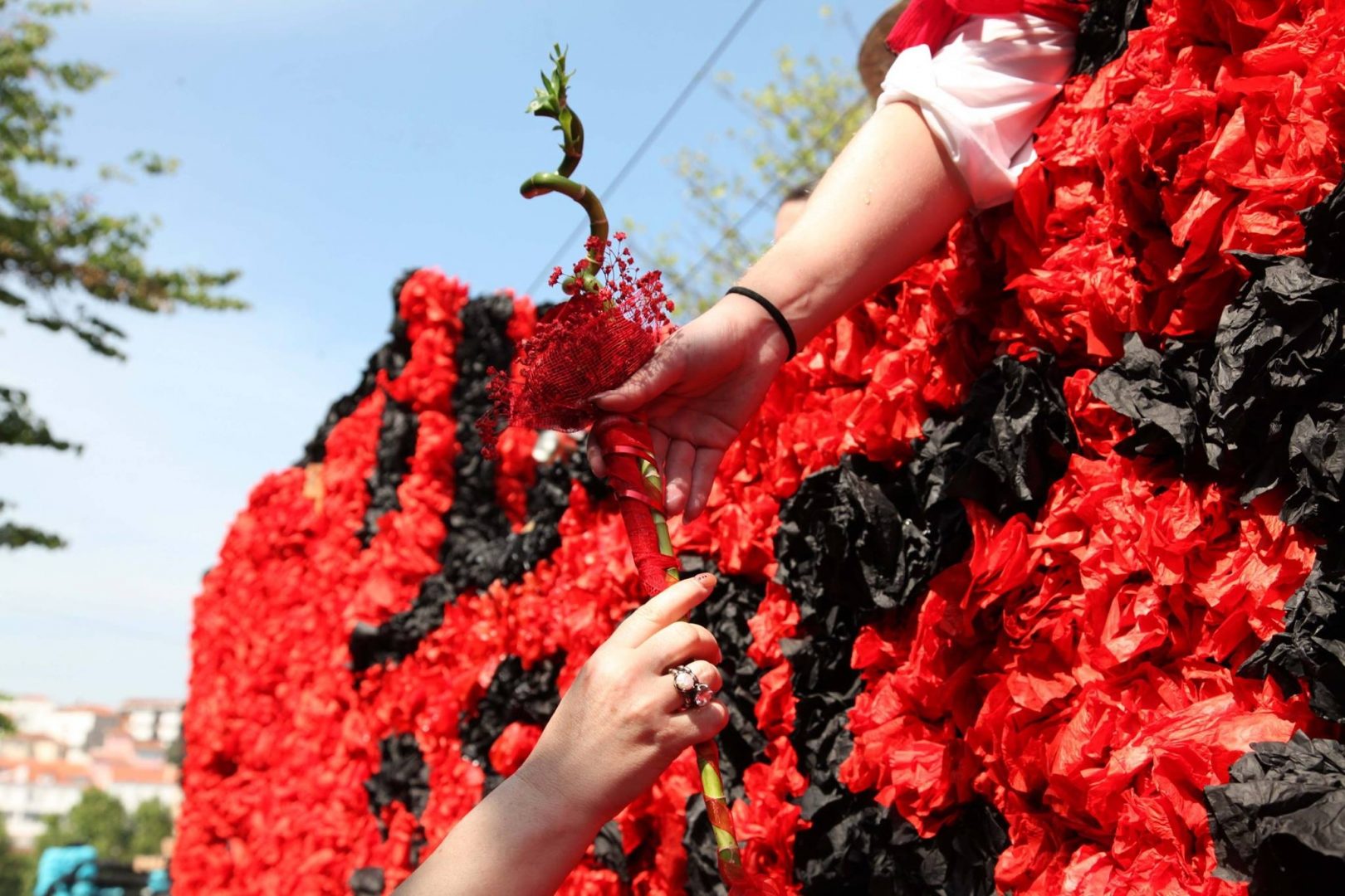 Câmara apoia Queima das Fitas 2016 com mais de 186 mil euros