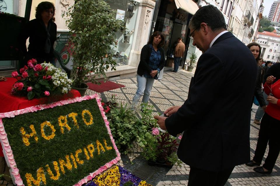 Flores e Plantas animaram Baixa da Cidade