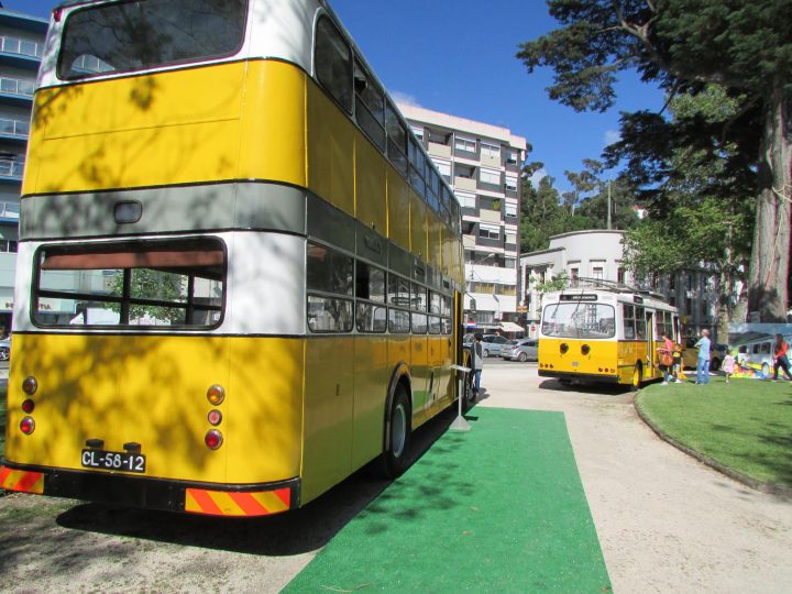 13323357_1165047300207319_8679726622177711175_o