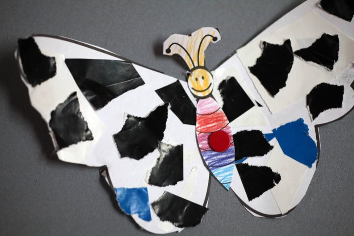 13498128_1177298208982228_7851214732971545267_o