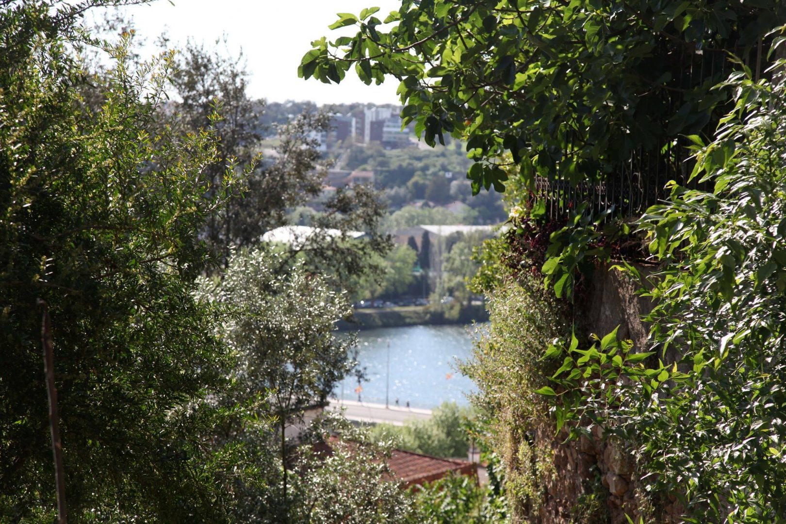 Coimbra vai ter rede de miniautocarros ligada ao Botânico