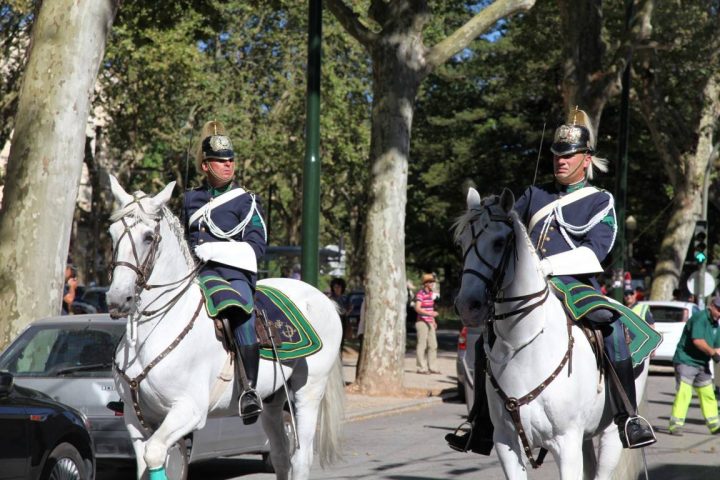 13603668_1188471034531612_1614962301762113689_o