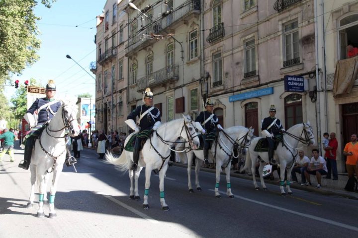 13652945_1188471564531559_776728274135420513_o