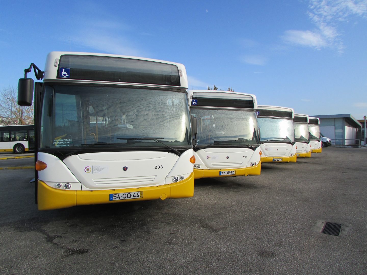 Estudo propõe rede de transportes públicos a funcionar de madrugada