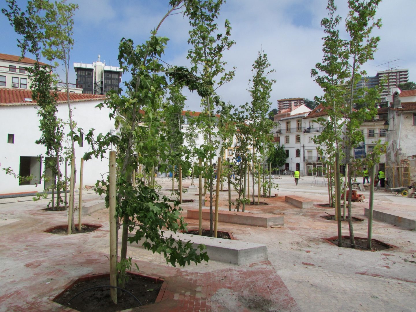Terreiro da Erva recebeu quase três dezenas de árvores
