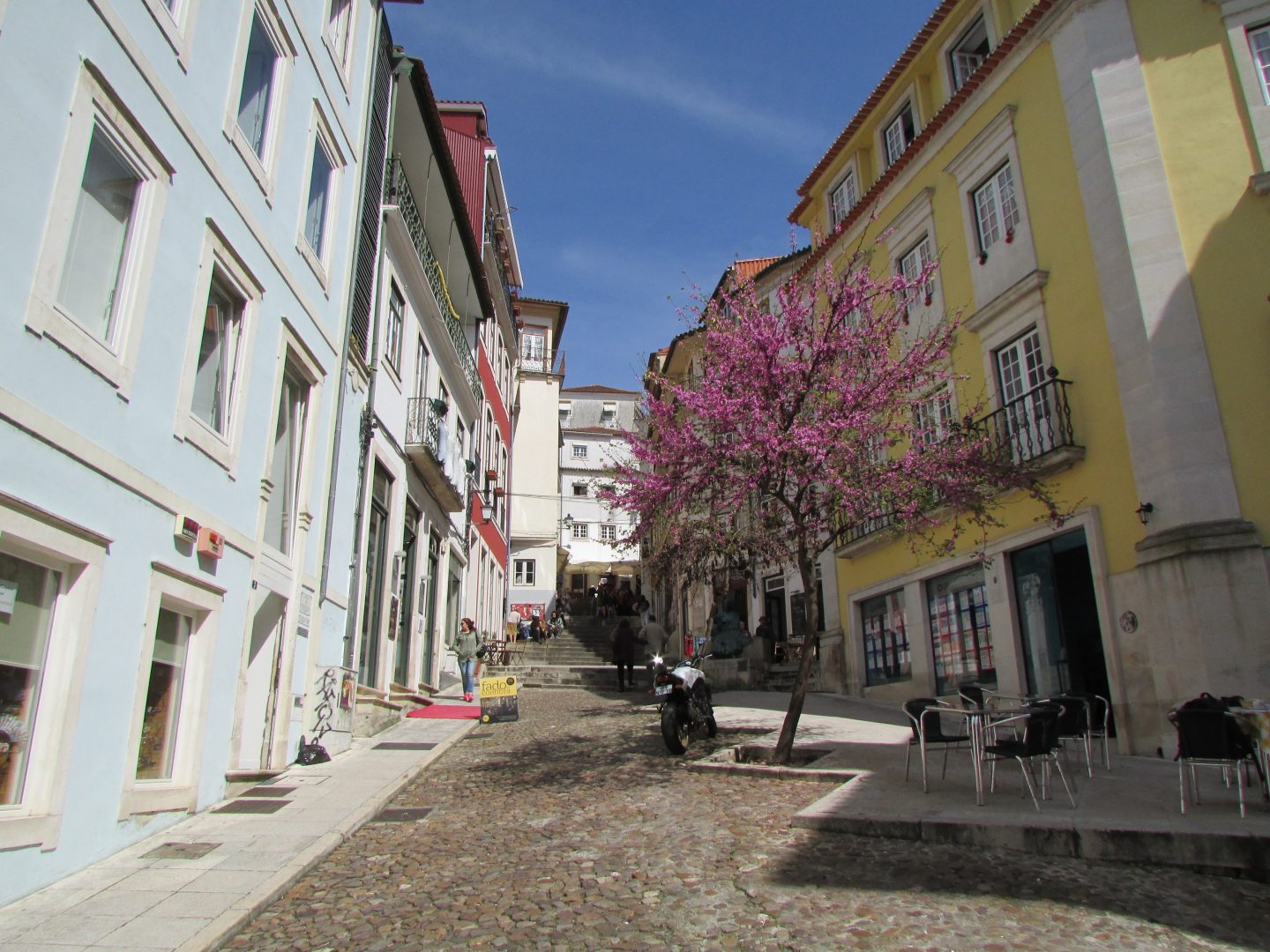 Câmara apoia atividade da APBC em 2016 com 35.000 euros