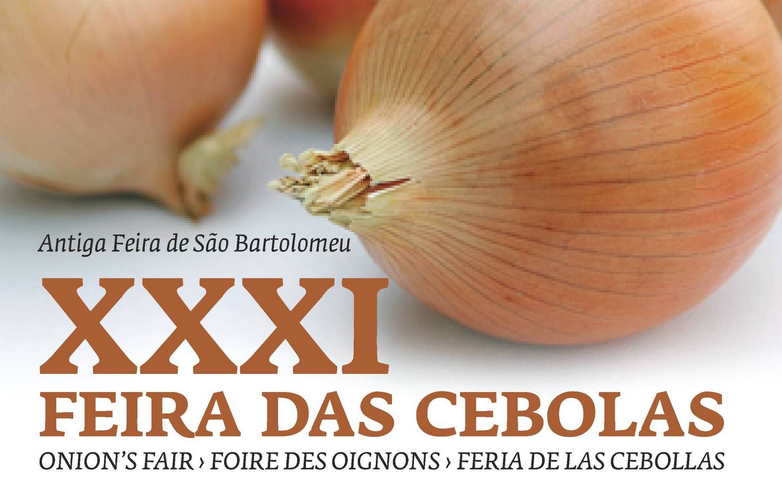 Feira das Cebolas anima Praça do Comércio 
