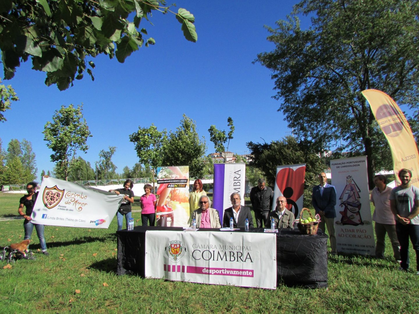 Coimbra celebra Dia Mundial do Coração com a prática de atividade física