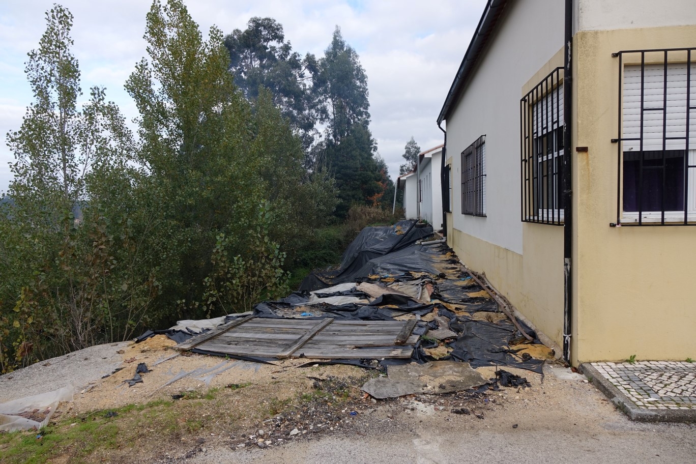 Câmara Municipal de Coimbra intervém nas zonas afetadas pelo mau tempo do último inverno