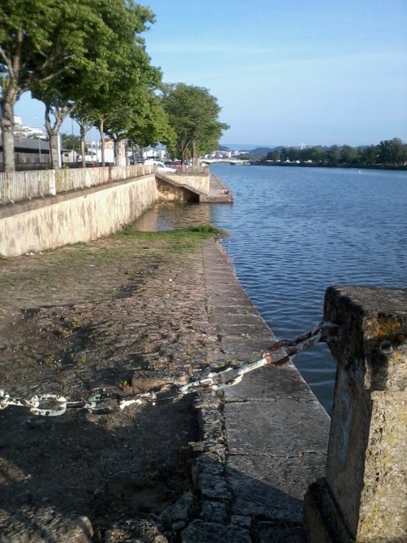 Desassoreamento do Mondego avança para concurso público