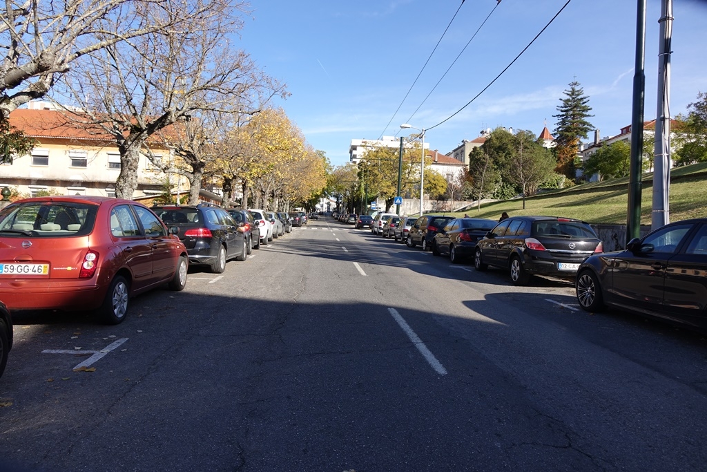 Rua Augusto Rocha com circulação pedonal melhorada, estacionamento disciplinado e árvores renovadas