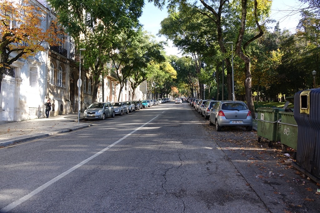 Rua Lourenço Almeida Azevedo com intervenção nas árvores, passeios, caldeiras e estacionamento