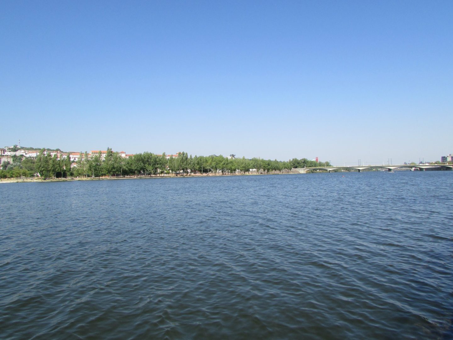 Desassoreamento do rio Mondego em Coimbra em concurso por 4,7 milhões de euros