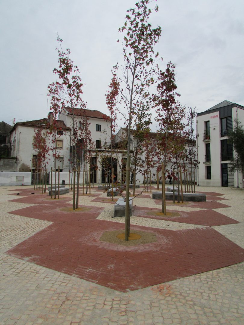 CMC plantou mais de duas mil árvores entre 2013 e 2016