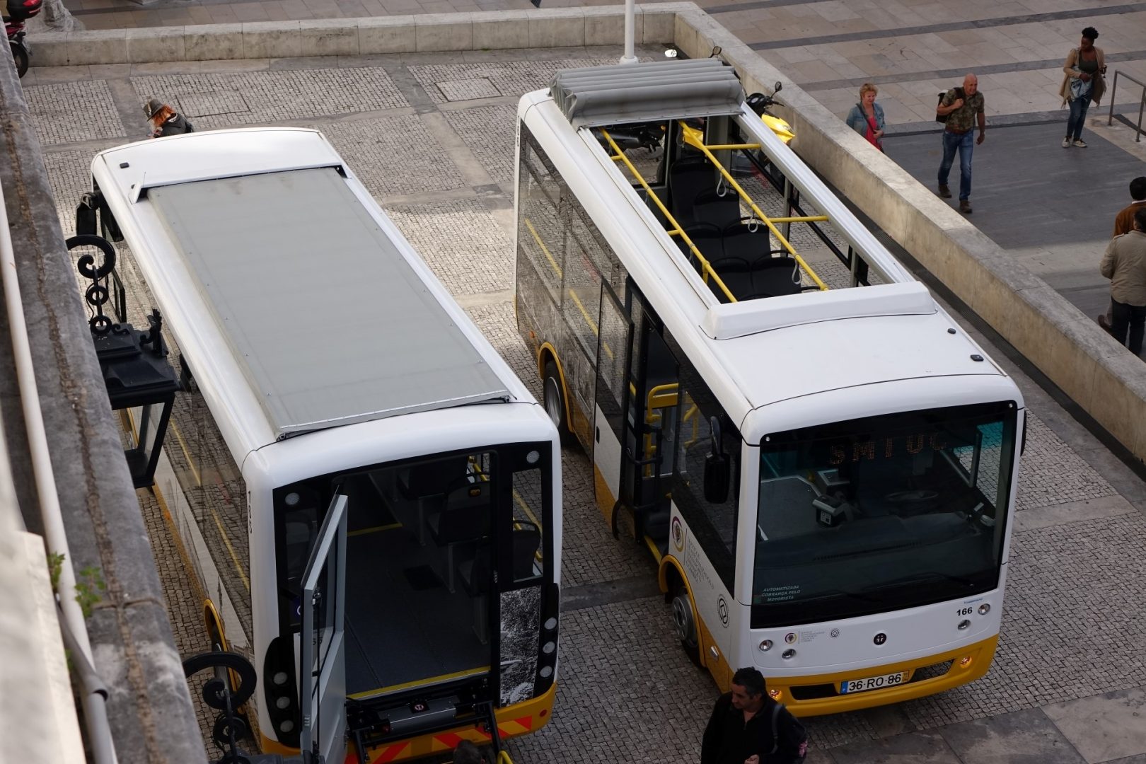 Câmara de Coimbra espera que ligação através da Mata do Jardim Botânico esteja concluída antes do verão