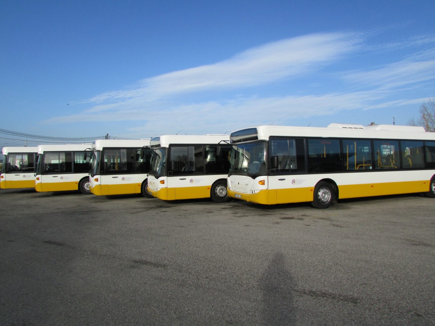 Atividade dos SMTUC em 2016 marcada pela aposta no investimento em frota