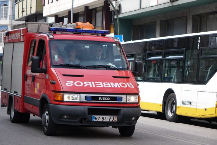 18556621_1506278012750911_1461992986864950506_o