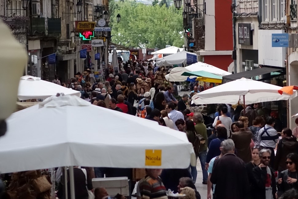 Milhares de pessoas no centro histórico de Coimbra para celebrar Festa da flor e da Planta e Mercado da Laranja