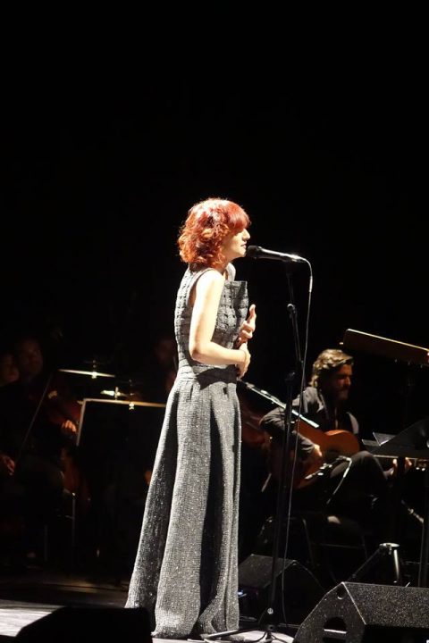 19875219_1555026824542696_7592881564566904034_n