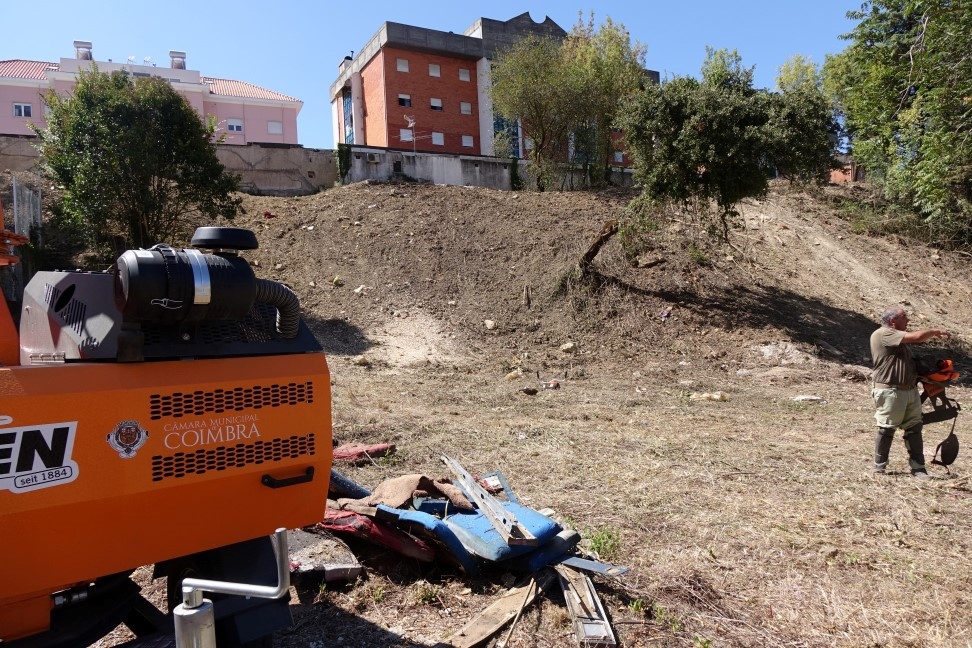 CMC limpa coercivamente terreno da Quinta da Casa Amarela
