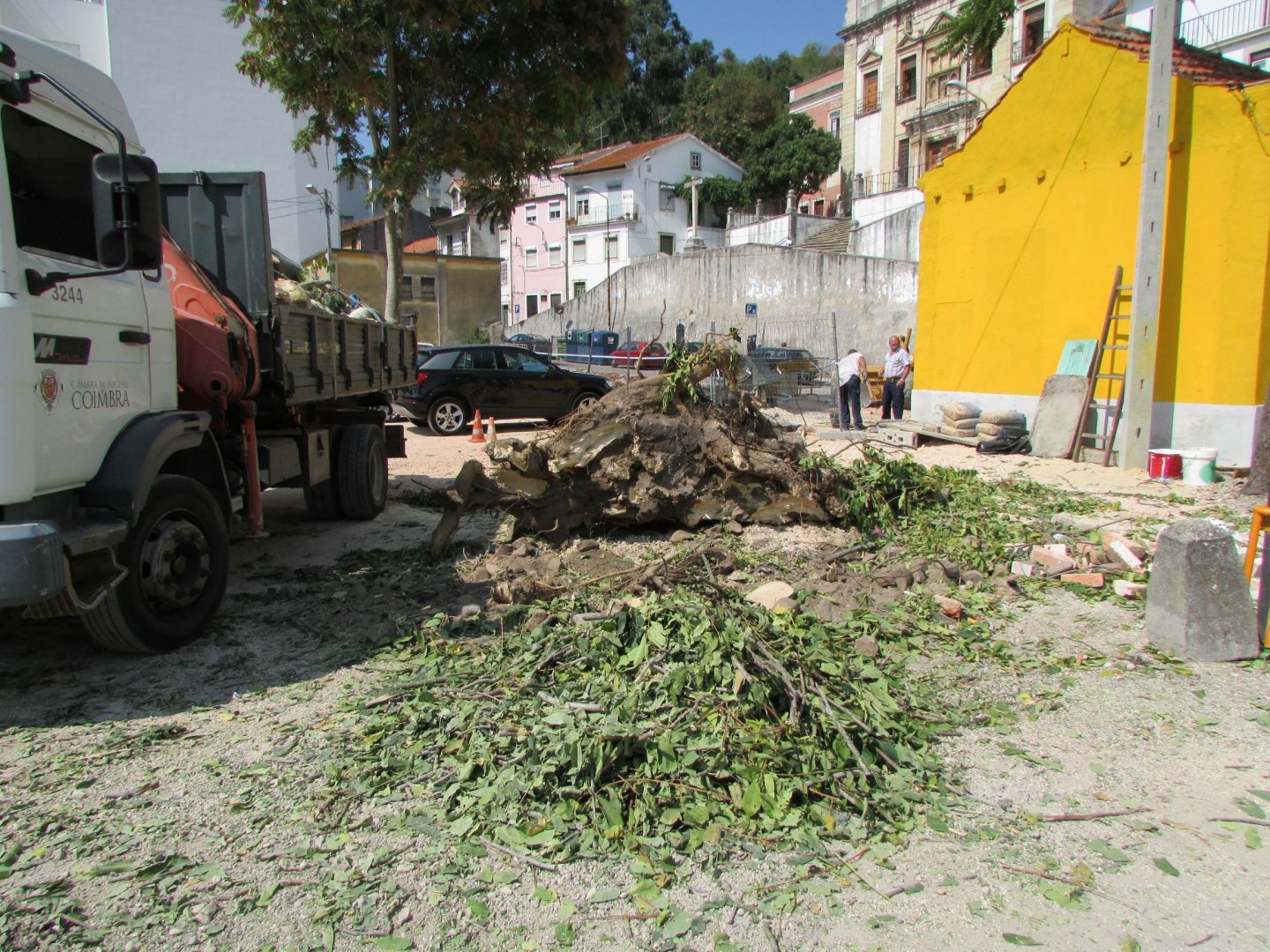 CMC remove quatro árvores no terreno destinado ao futuro Palácio da Justiça