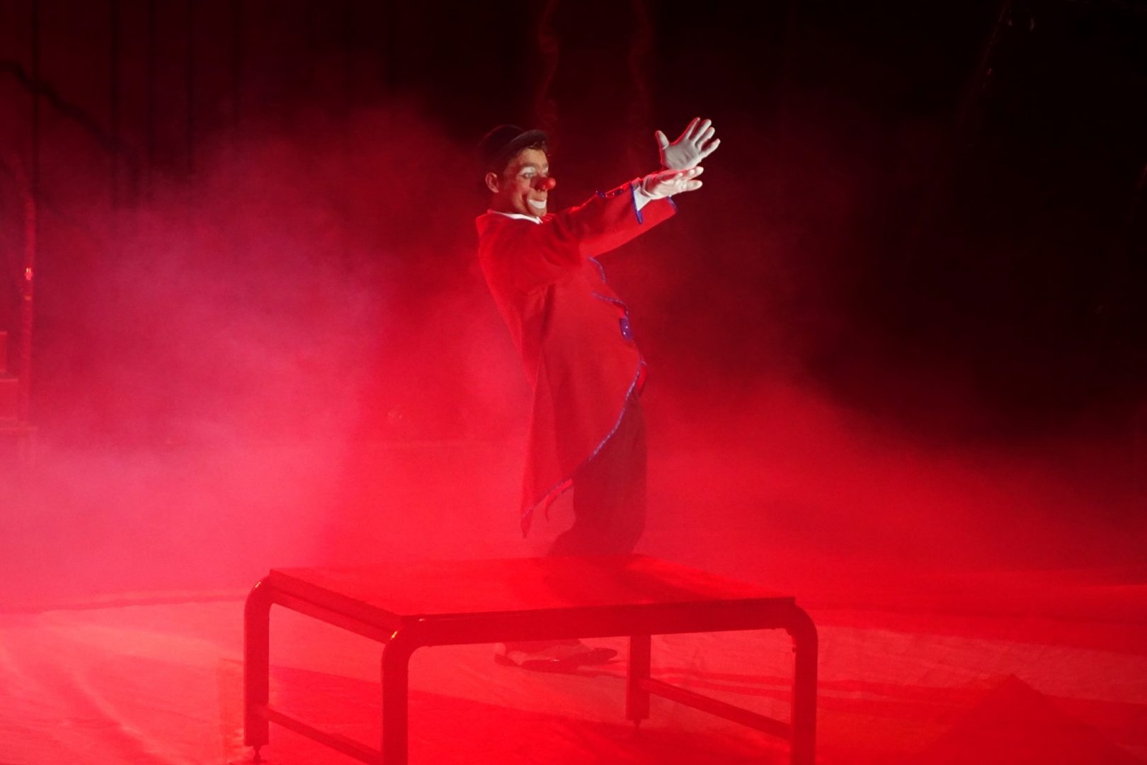 CMC levou idosos do concelho ao Super Circo