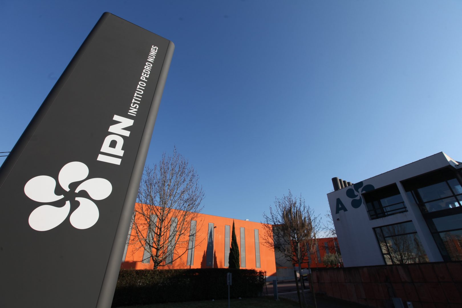 Dez empresas sediadas no IPN vão estar presentes na Web Summit