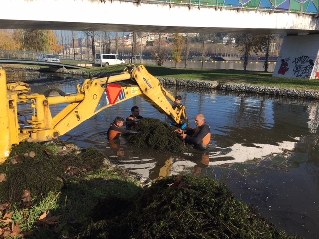CMC inicia remoção de espécie invasora agressiva no canal da margem esquerda do Parque Verde do Mondego