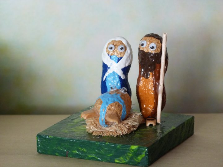 tamendoinlndia_riceland3