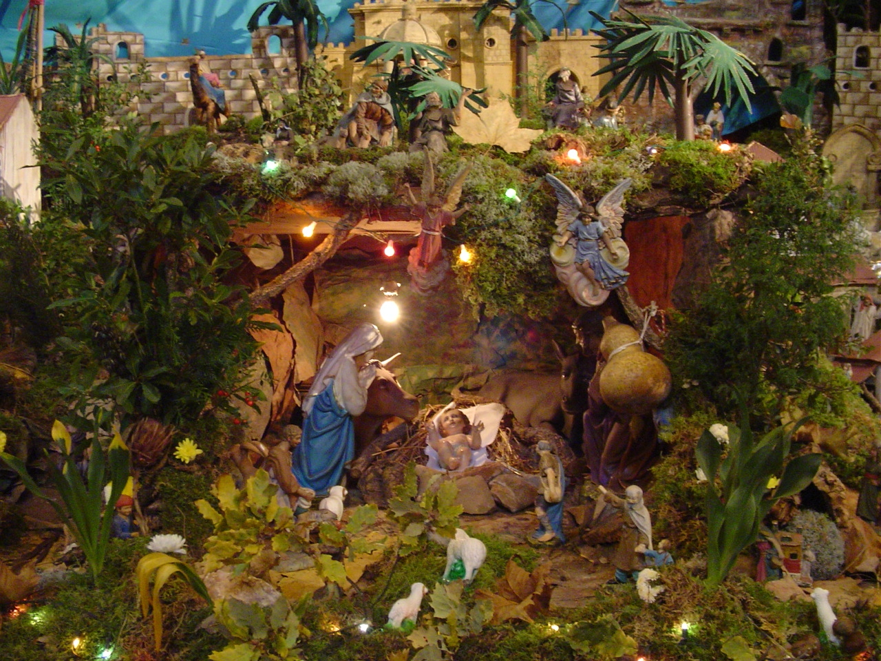 Visitas guiadas da Câmara Municipal em janeiro de 2018