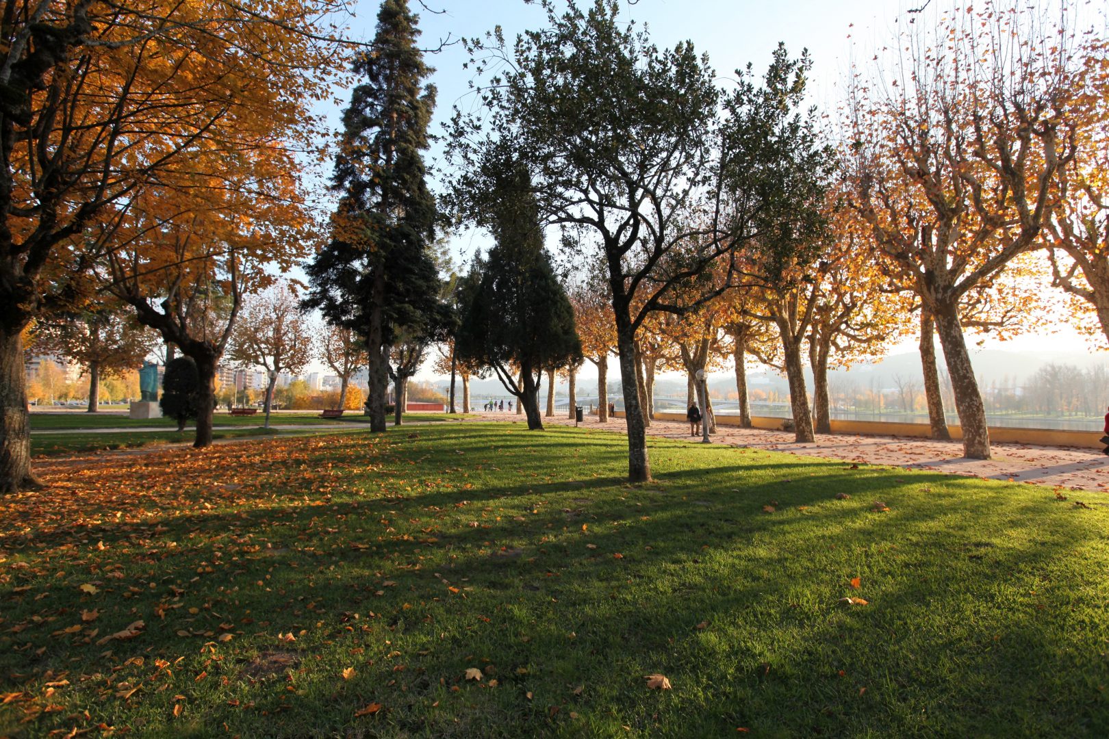 Requalificação do Parque Manuel Braga a concurso público