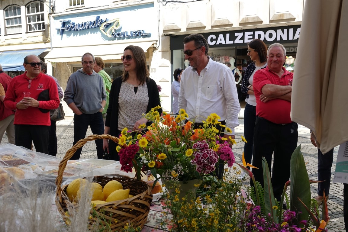 Festa da Flor e da Planta anima Baixa de Coimbra