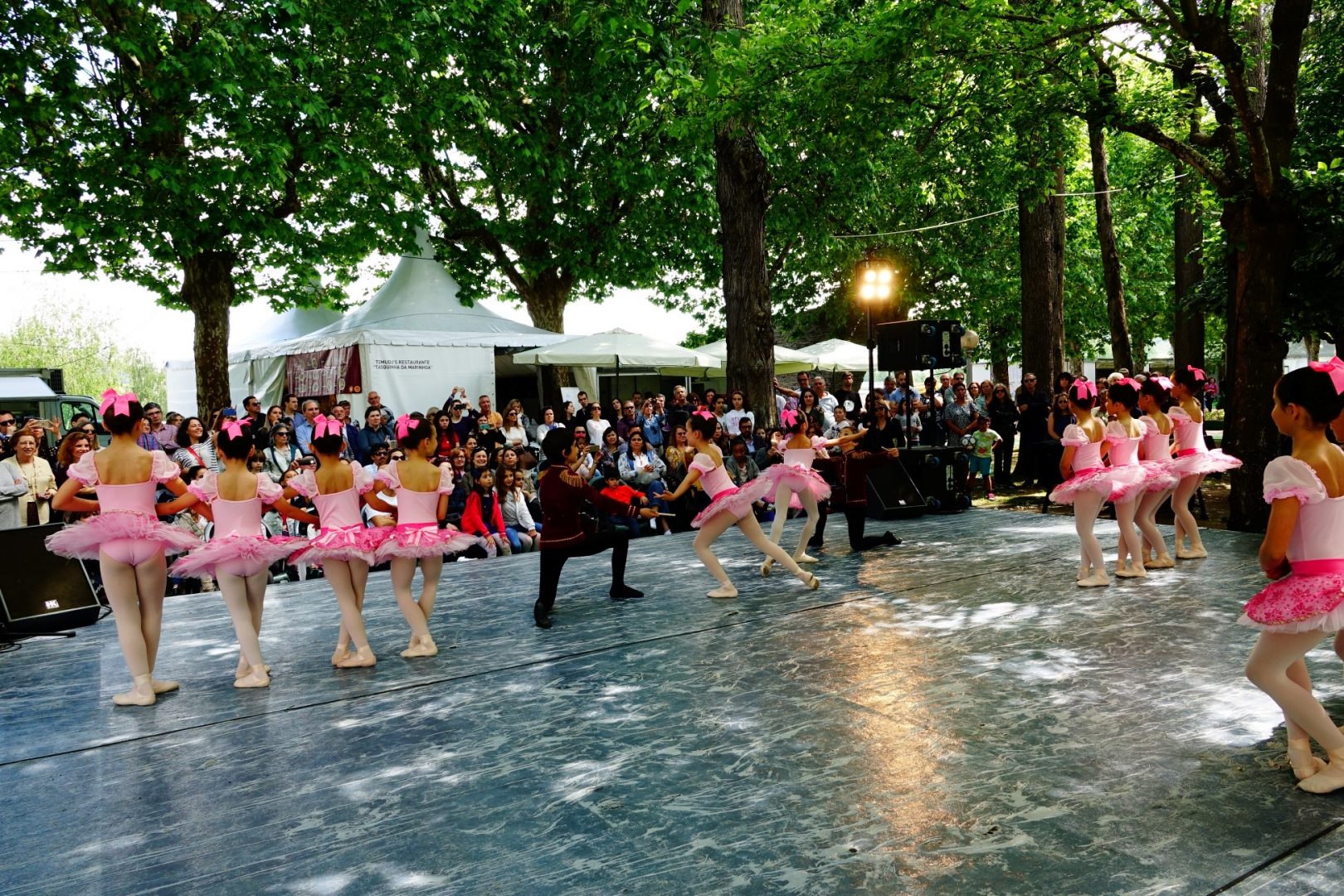 Segundo dia da Feira Cultural de Coimbra com muita animação e música para todos os gostos