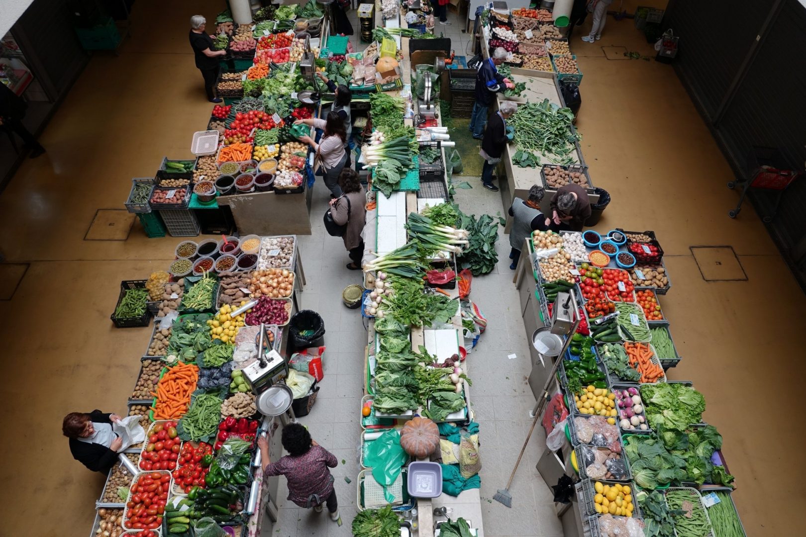Mercado Municipal D. Pedro V terá praça de restauração e um espaço para eventos