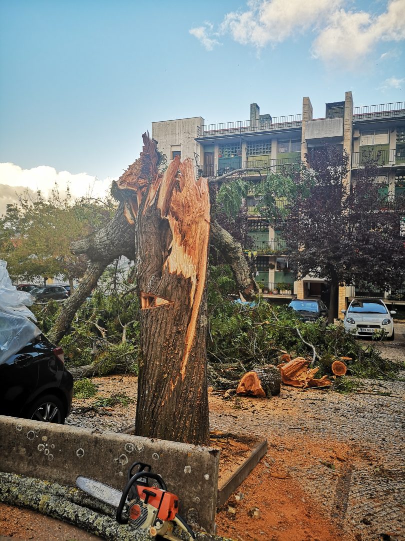 “Tempestade Leslie” provocou prejuízos de mais de 9M€ em Coimbra