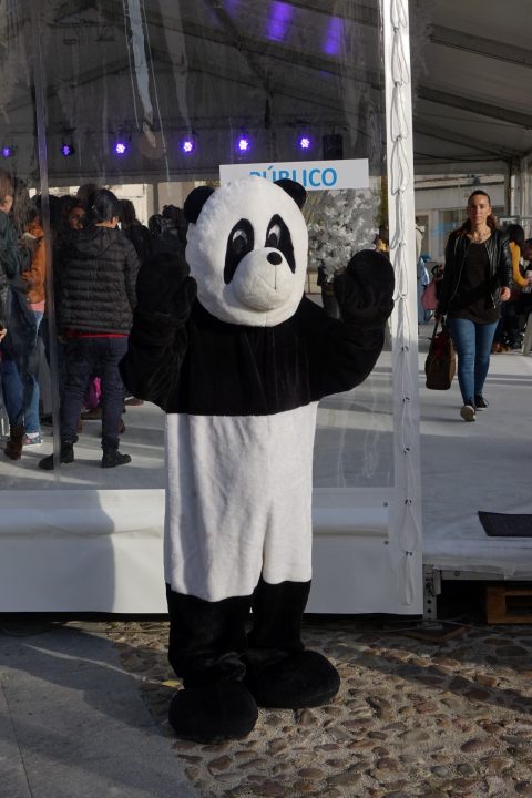 pista e casinha Pai Natal 29