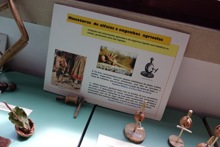 DSC01850 (Personalizado)