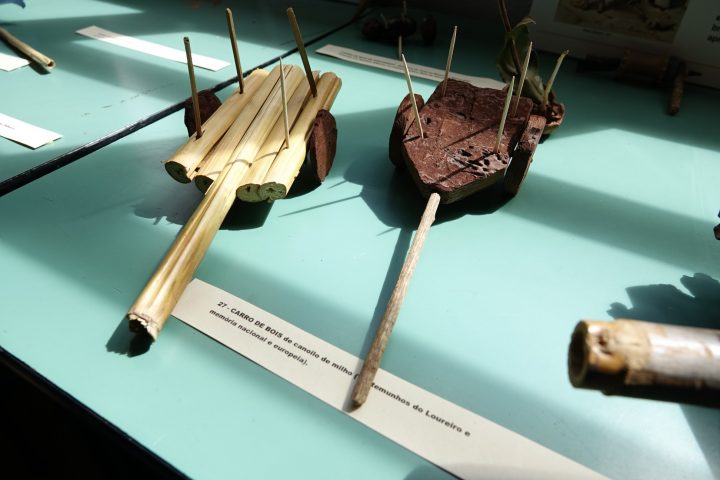 DSC01852 (Personalizado)