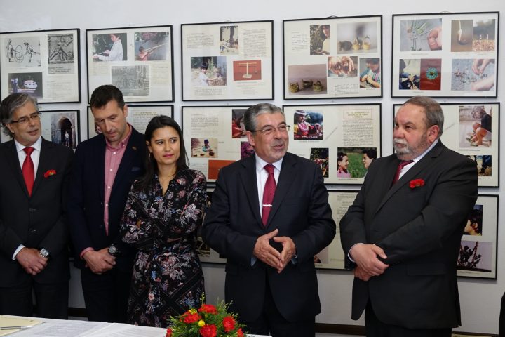 DSC01872 (Personalizado)