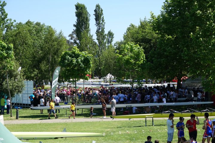 DSC04796 (Personalizado)