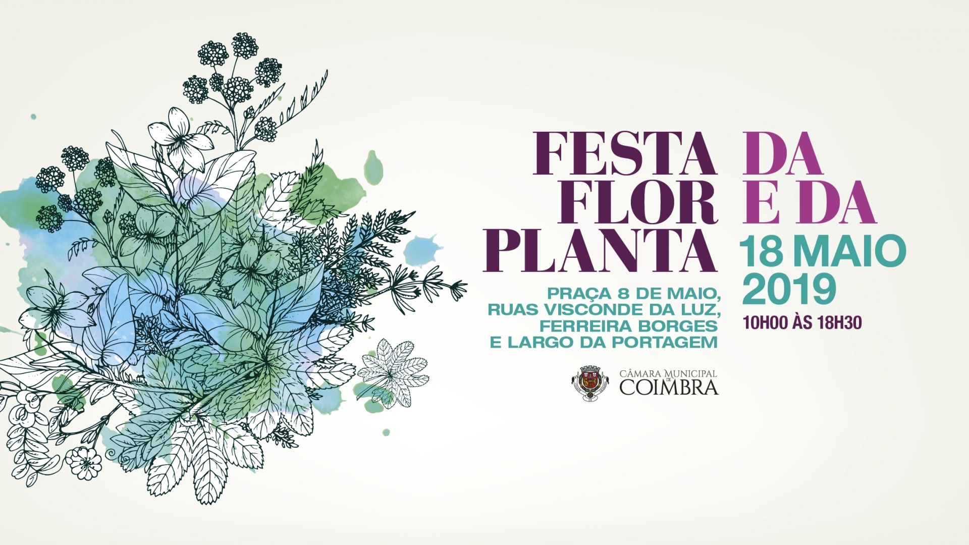 Festa da Flor e da Planta traz cores e aromas à Baixa de Coimbra este sábado