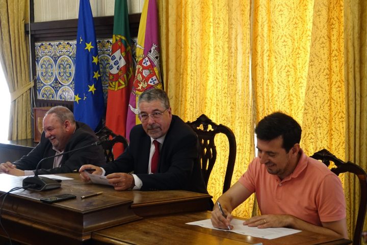 Protocolos Apoio Agrupamentos Escolas (13)