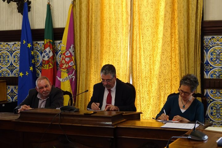 Protocolos Apoio Agrupamentos Escolas (7)