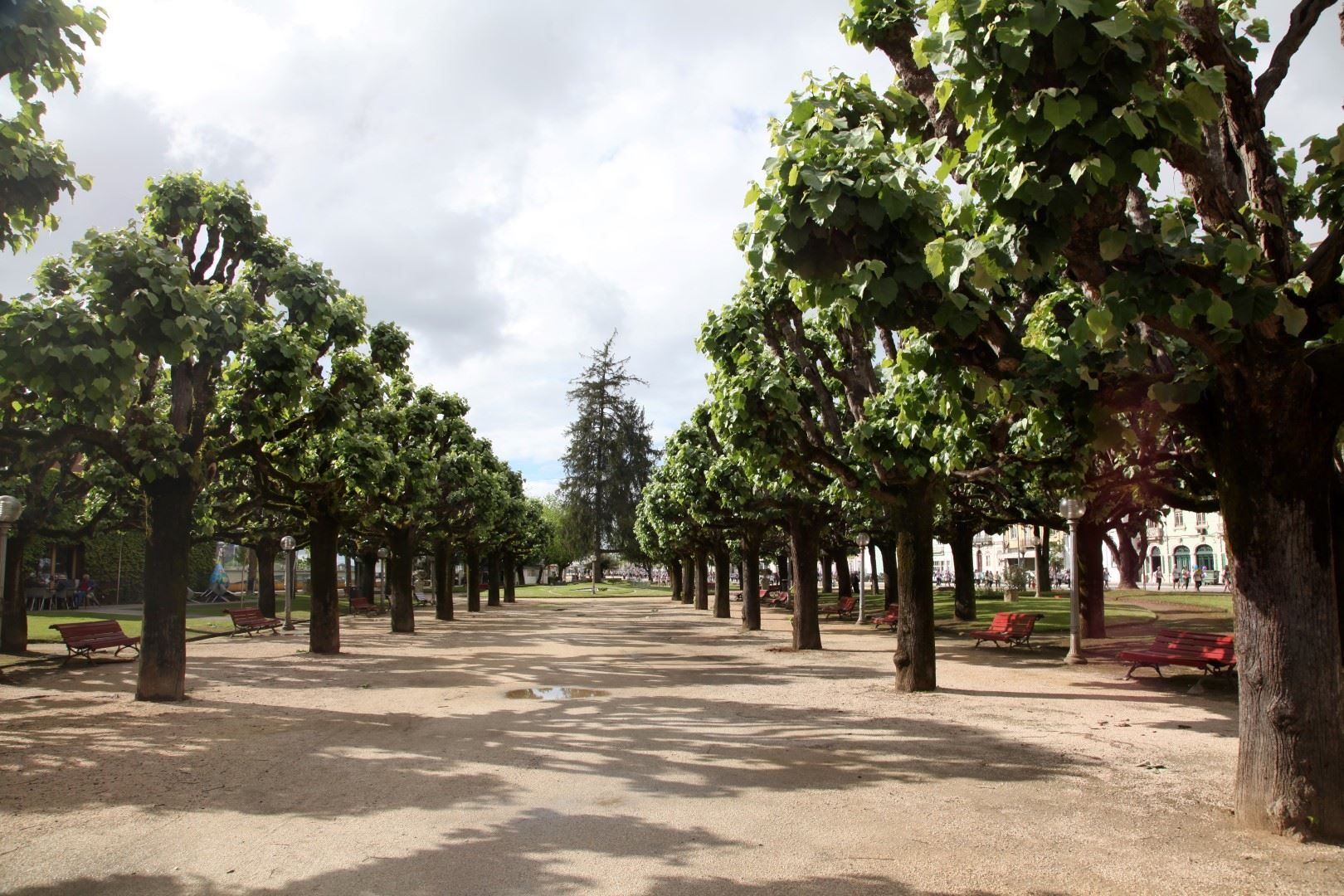 CM Coimbra investe mais de 4M€ na requalificação do Parque Manuel Braga