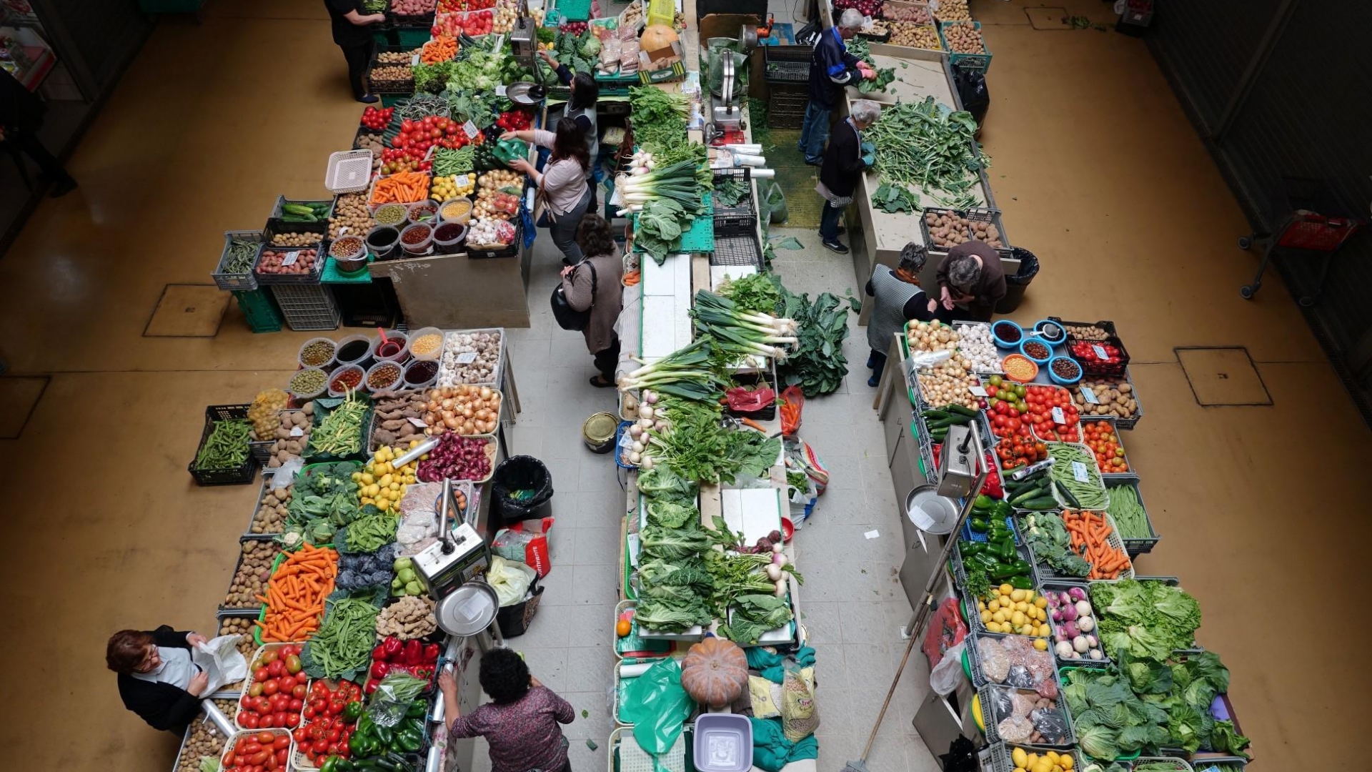 Câmara vai investir 1,5M€ no Mercado Municipal D. Pedro V que passa a ter praça de restauração