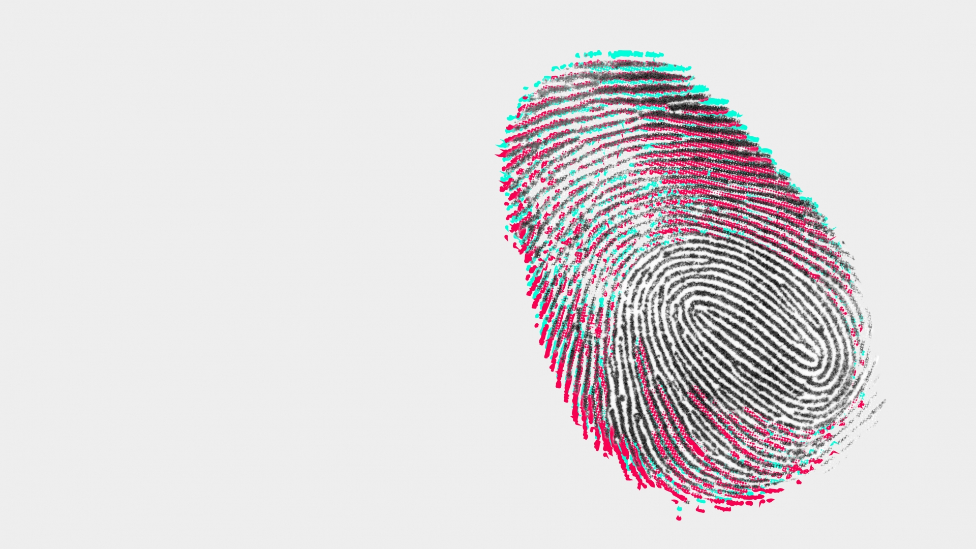 Câmara e Jazz ao Centro querem dar a conhecer a cidade através dos seus sons