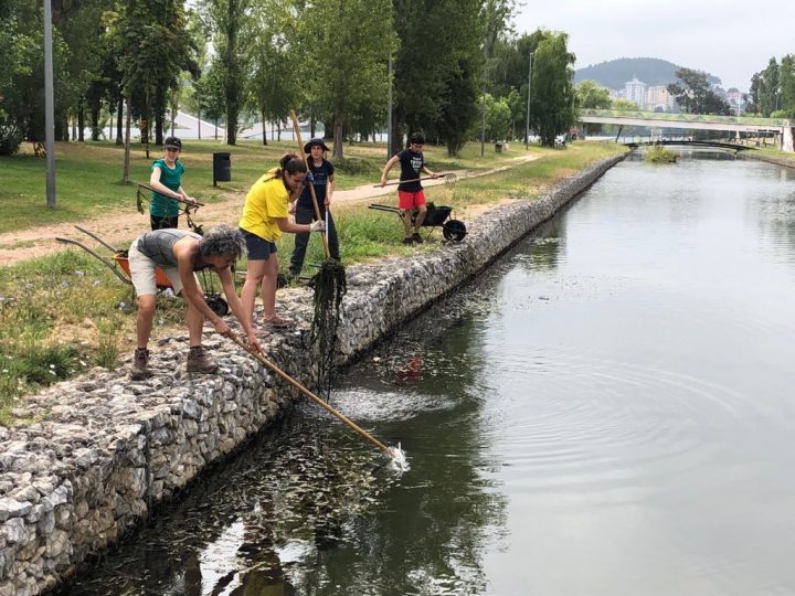 66662666_284203449084622_3896437787410300928_n