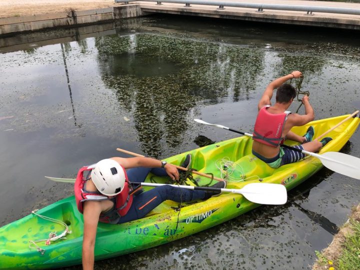 66676915_354344211922192_4841831183853551616_n